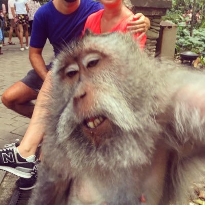 AFireGaige's profile picture. 📲🤮🥰❤️😑😂💮🔎⭐️