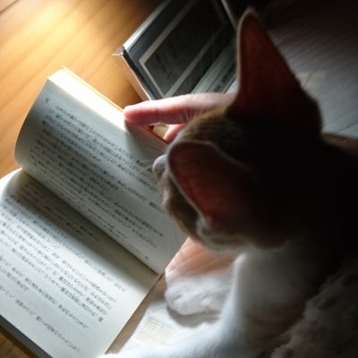 shimoken23's profile picture. 愛国 ヤマハトリッカー グルメ