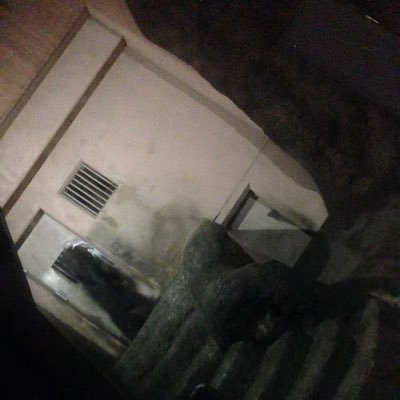 lolikane's profile picture. 