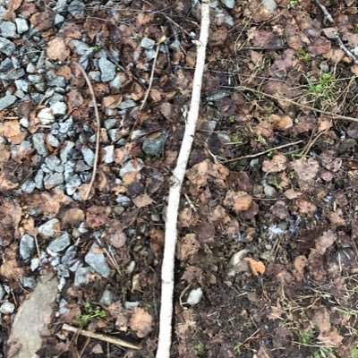 EffectsIndex's profile picture. Collecting effects from all over the world. #processing #procedural #p5js #shader #animation #vfx #creativecoding #glsl #generative #generativecode