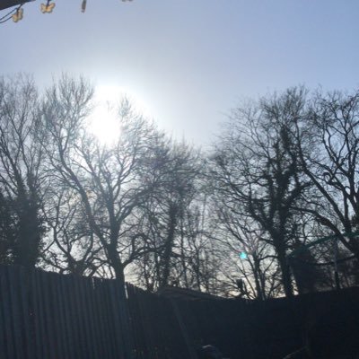 KealyP's profile picture. Peace and love and kindness 🥰