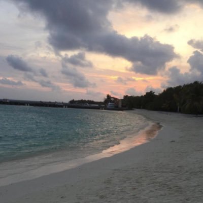 adela_om_ahmed's profile picture. -