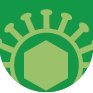 Virología Fundamental-FCIEN (@vfcien) 's Twitter Profile