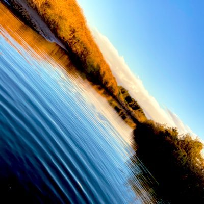 Kou2gCXLcc6IlId's profile picture. 川魚大好き大学生。
ガサガサとか採取して家で育てたりしちゃってます。