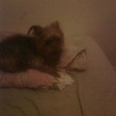 freddie - @freddie_burke - Twitter