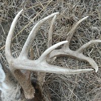 Hunting Reporter (@huntreports) 's Twitter Profile