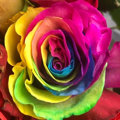 Karax79's profile picture. 