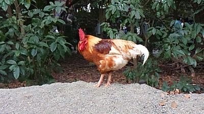 秋紘さんのプロフィール画像
