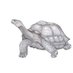Galapagos Safari Camp (@galapagossafari) Twitter profile photo Galapagos Safari Camp (@galapagossafari) Twitter profile photo