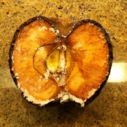 Boh_61's profile picture. 