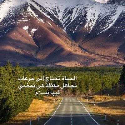 YBRx3ILJ0c81tV5's profile picture. 