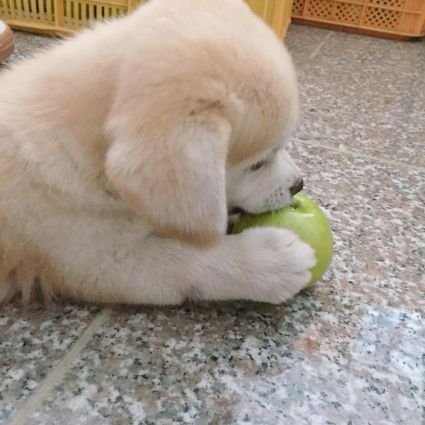 herodeathknight's profile picture. 