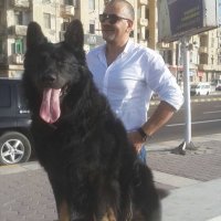 Ayman Asr Handy (@asr_handy) 's Twitter Profile
