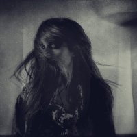 Evi Vine (@evivine) 's Twitter Profile