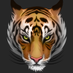 Tiger Style (@tigerstyleclan) Twitter profile photo Tiger Style (@tigerstyleclan) Twitter profile photo