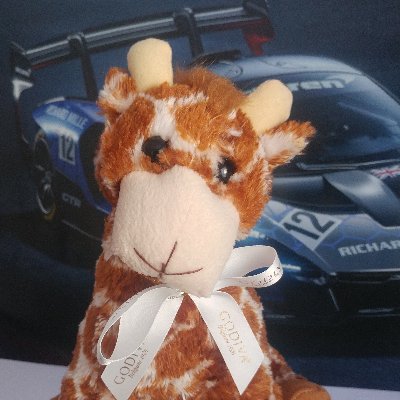 GiraffeKahoot's profile picture. skrzzz