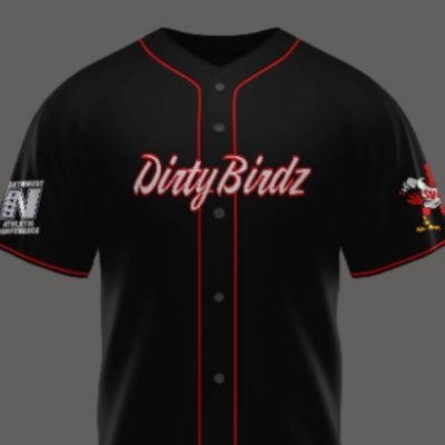 Official Twitter page of Skagit Valley College Baseball #DirtyBirdz
