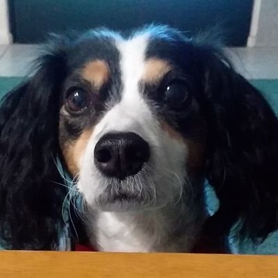 Kell_D_3's profile image