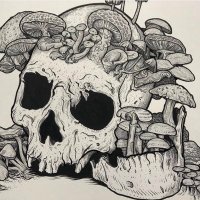 King of the Sewer (@kingsewer1) 's Twitter Profile