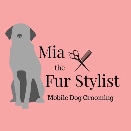 Mobile Dog Grooming and ultrasonic teeth cleaning. Qualified Dog Groomer, Vet Care Assistant&Pet Psychologist.