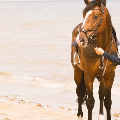 h2nd___'s profile picture. سَيُجآزيك الله على كُل شعور جميّل زرعته في قلب آحدهم , ,