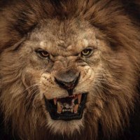 John Mesenbrink (@mesenbrink_john) 's Twitter Profile Photo John Mesenbrink (@mesenbrink_john) 's Twitter Profile Photo