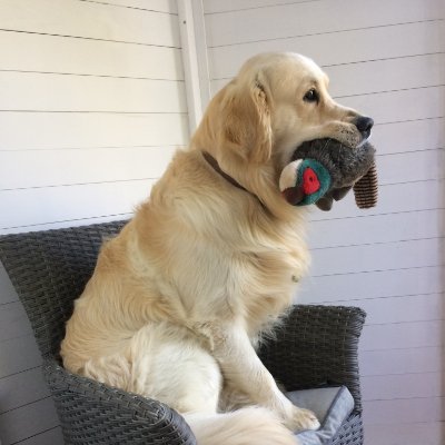 foadoffoadhall's profile picture. Ex military, conservative, cynical