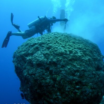 #NewPI @HPU working on the oceanography of coral reefs, climate change, and how corals grow. Love to photograph nature and dogs. Strong opinions are my own.