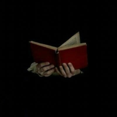 shox73_'s profile picture. وأُحسُ أنكِ مِن الكوثَر، ومِن نورِ السَماءِ وأكثَّر.