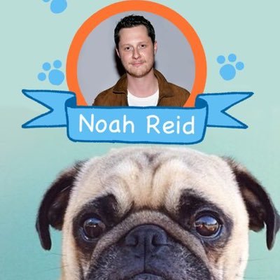 Noah once said this account is “the best” and I’ve thought about it every day since. Not actually @olreid, just Noah Reid, as dogs.