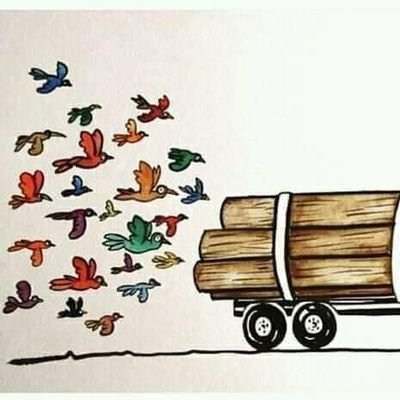 loopback09's profile picture. 