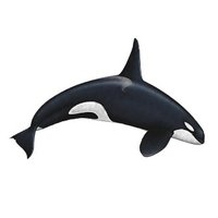 Marine Life Project (@marinelifeproj) 's Twitter Profile Photo Marine Life Project (@marinelifeproj) 's Twitter Profile Photo