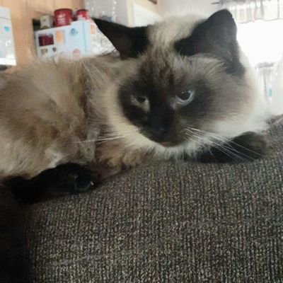 2bros_3hoes's profile picture. 