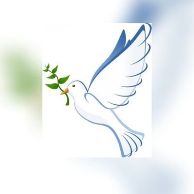 jjsXezLFXzWHzOT's profile picture. ‏‏عندما تتغلب قوة الحب على حب القوة سيشهد العالم السلام
When the power of love
 overcomes the love of power, the world will experience peace