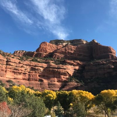 rstherapist1's profile picture. Travel Art