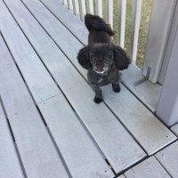 Ray Bozell (@tipsy2tworay) 's Twitter Profile