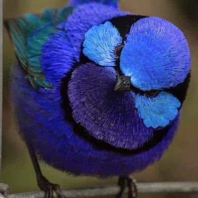 ShermanWonston's profile picture. just living