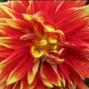 Ria James-Robitsch - @rimajaro - Twitter