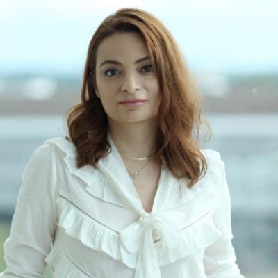 Associate Professor at the University of Wisconsin-Madison