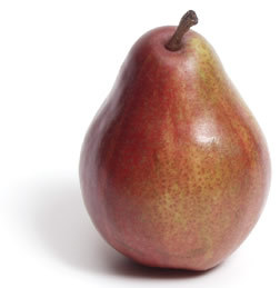 mwhelm's profile picture. 