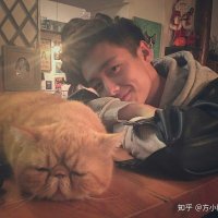 David Li (@syewvjlvprco20u) 's Twitter Profile