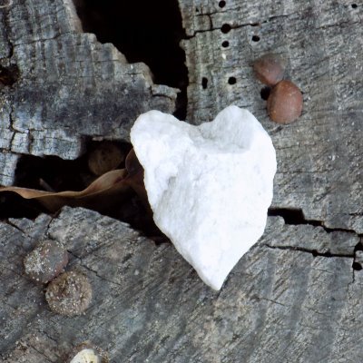 needtoclean's profile picture. My new cleaning addition. Get free good smelling products when you purchase. Disinfectant spray/wipes also available: https://t.co/0M9H87eXAe…