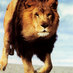 $treet Trader (@street__trader) Twitter profile photo $treet Trader (@street__trader) Twitter profile photo