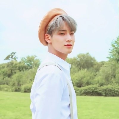I'm a roleplay of kim mingyu seventeen. [97L] SAY THE NAME SEVENTEEN ! Hip Hop team