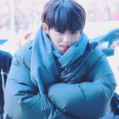 #WeLoveYouSCOUPS