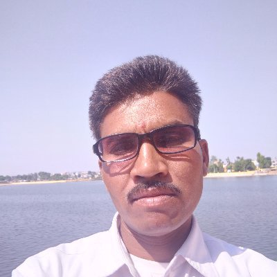 MSendola's profile picture. 