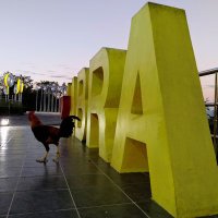 Paul Taeza (@paul_taeza) 's Twitter Profile