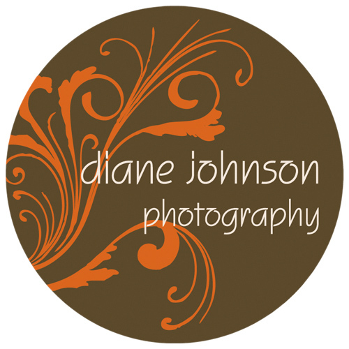 dianejohnsonmi's profile picture. A work in progress....