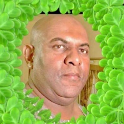 Modesty1966's profile picture. 