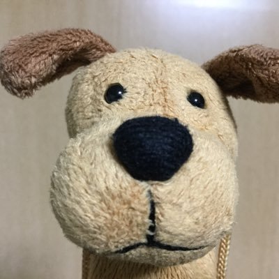 2BEzGfmzQ4V0J4k's profile picture. 